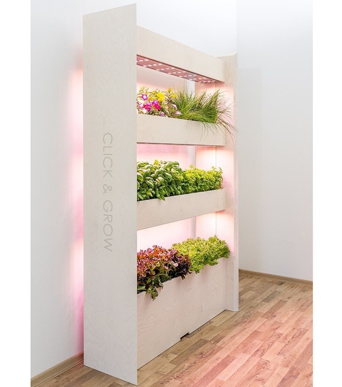The Wall Farm Indoor Vertical Garden
