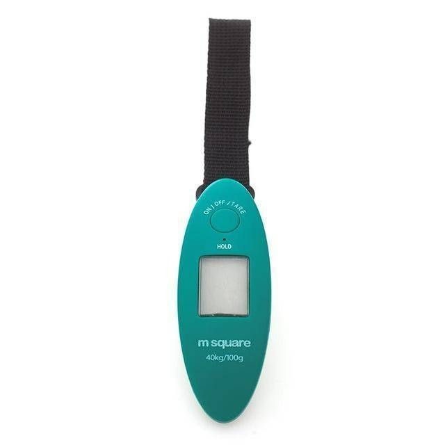 Luggage travel scale