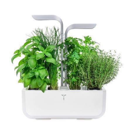 Veritable Smart Indoor Garden