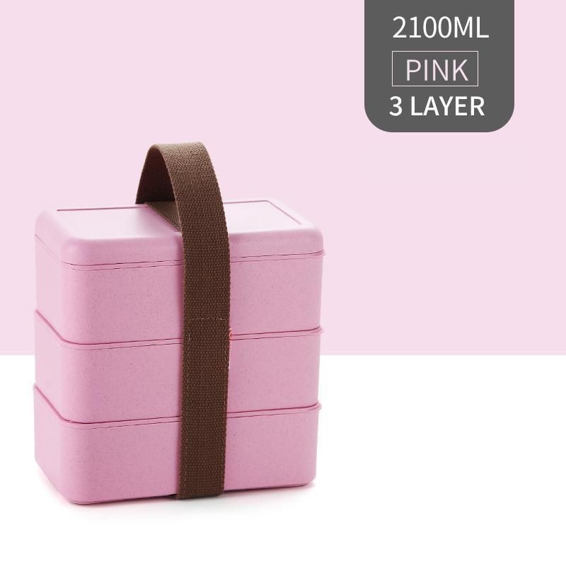 WORTHBUY Microwave Lunch Box For Kids